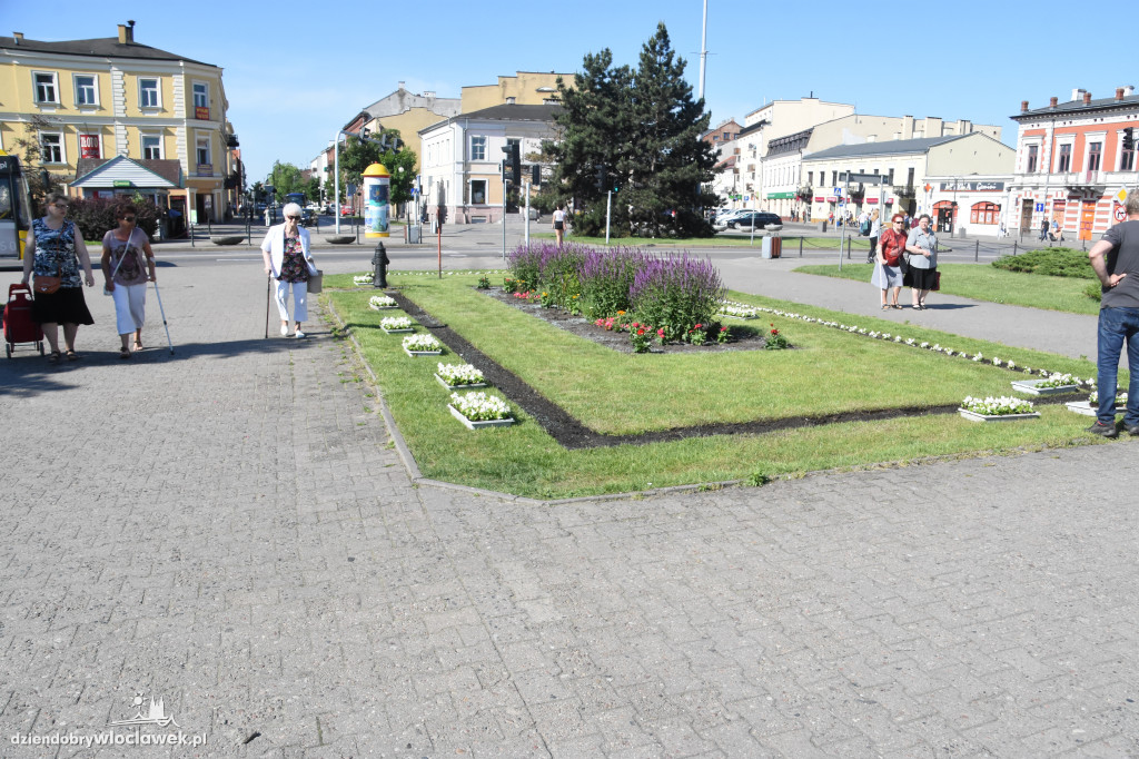 Wysadzanie kwiatów na placu Wolności