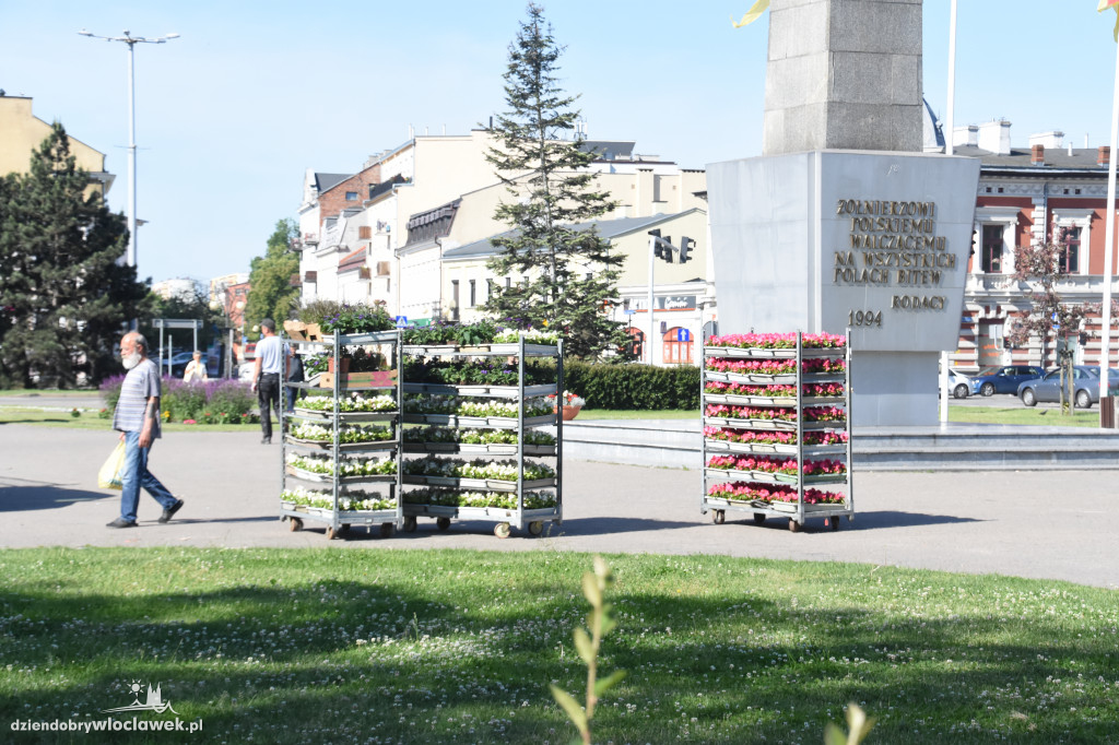 Wysadzanie kwiatów na placu Wolności