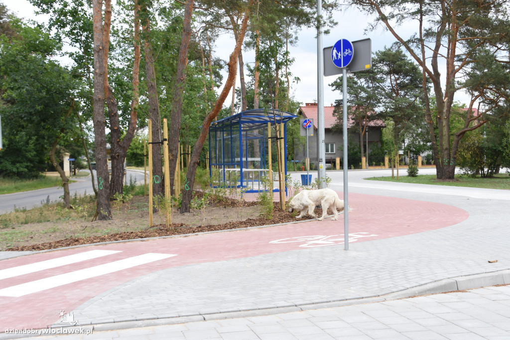 Nowa pętla MPK za 0,6 mln zł