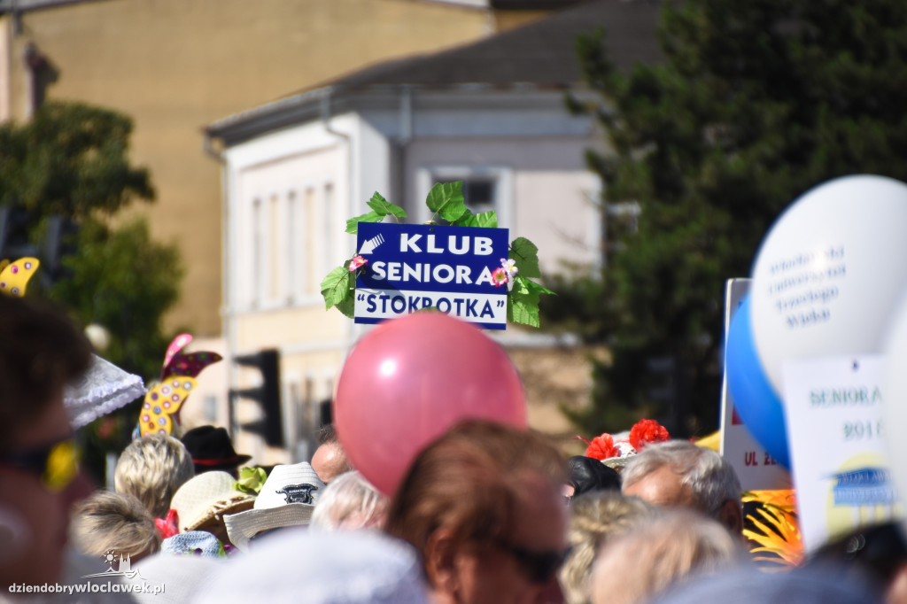 II Włocławskie Senioralia rozpoczęte