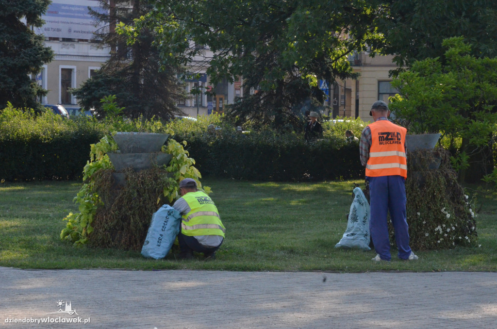 Zaniedbana zieleń na placu Wolności