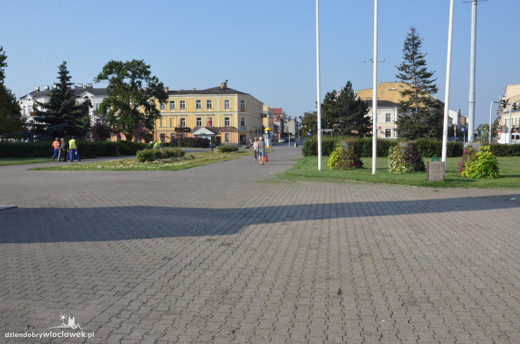 Zaniedbana zieleń na placu Wolności