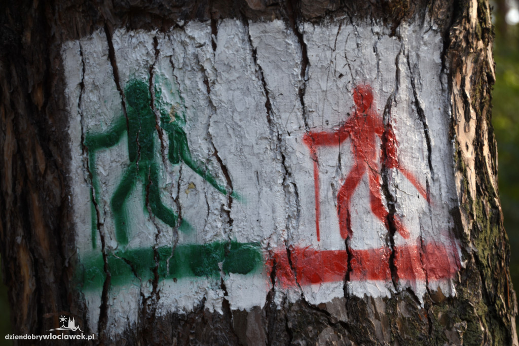 Nordic Walking na stadionie Przylesie