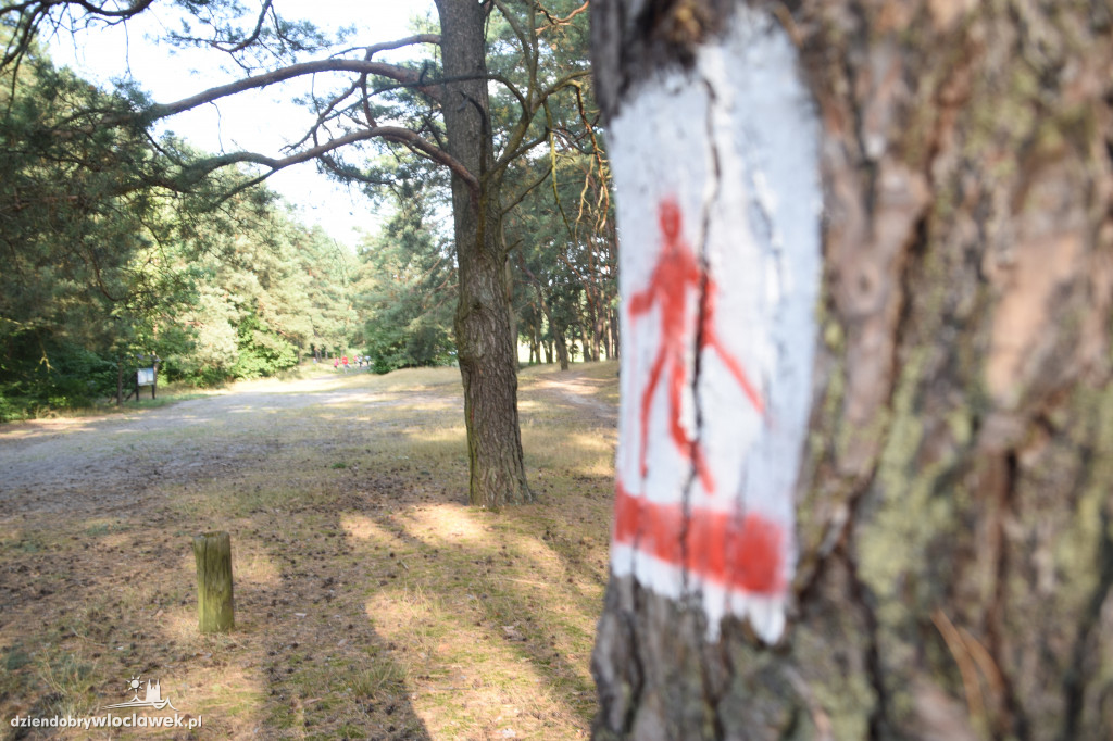 Nordic Walking na stadionie Przylesie