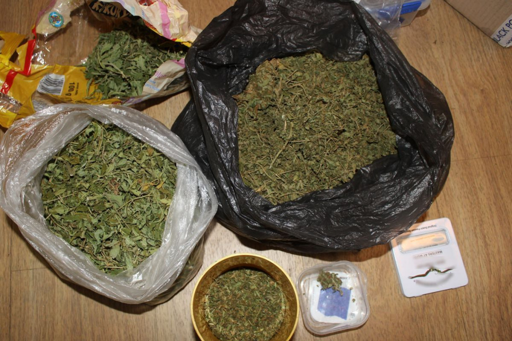 Miał w domu plantację marihuany