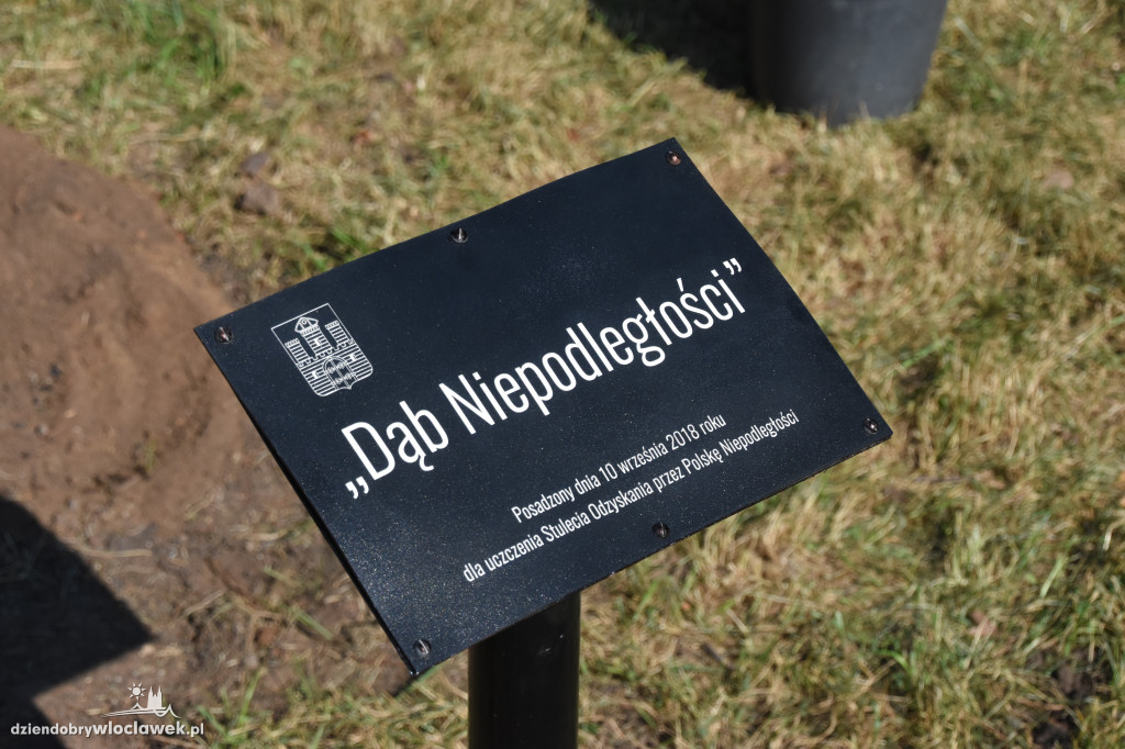 W parku zasadzili Dąb Niepodległości