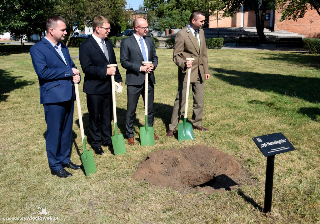 W parku zasadzili Dąb Niepodległości