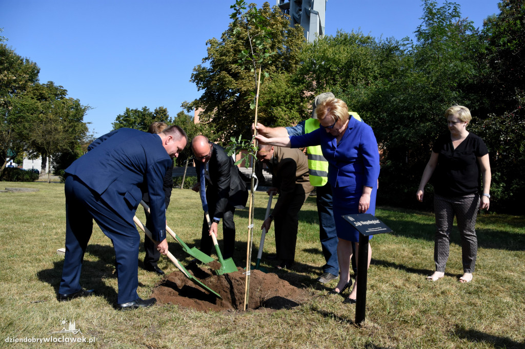 W parku zasadzili Dąb Niepodległości