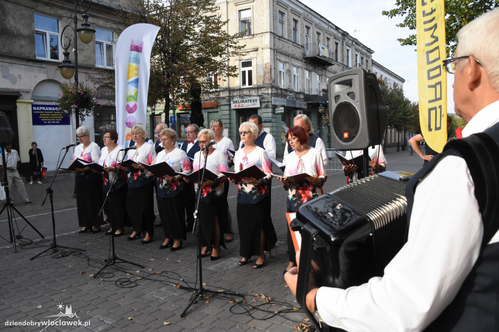 Impreza WłocławEKO na ul. 3. Maja