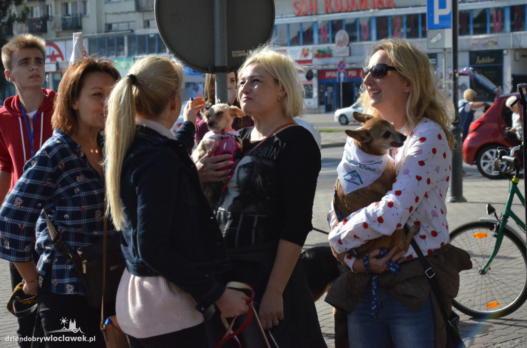 Światowy Dzień Zwierząt we Włocławku