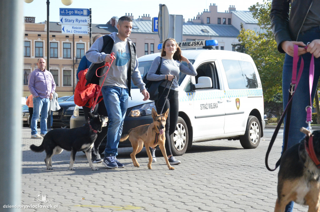 Światowy Dzień Zwierząt we Włocławku