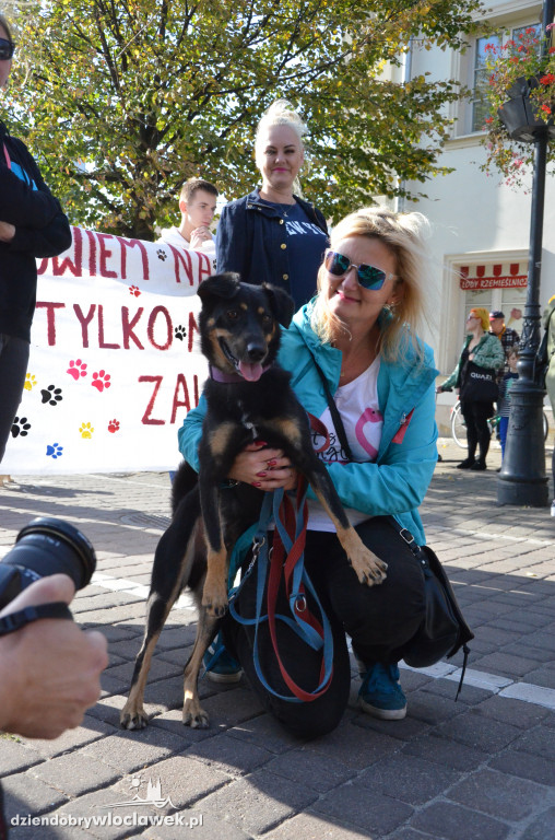 Światowy Dzień Zwierząt we Włocławku