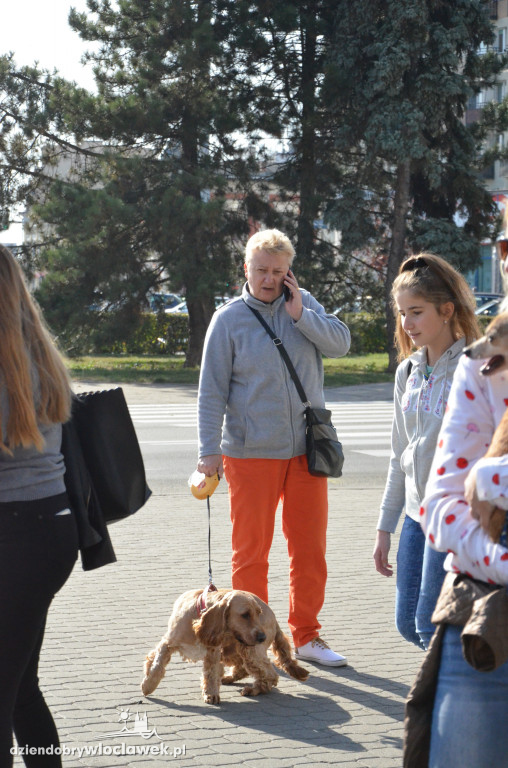 Światowy Dzień Zwierząt we Włocławku