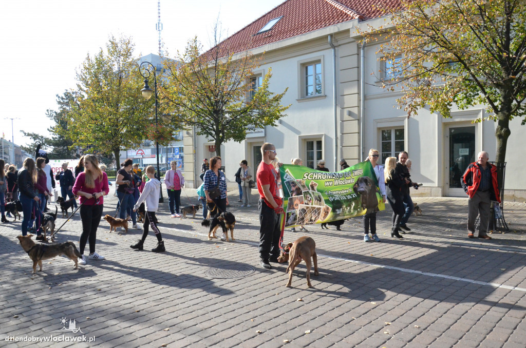 Światowy Dzień Zwierząt we Włocławku