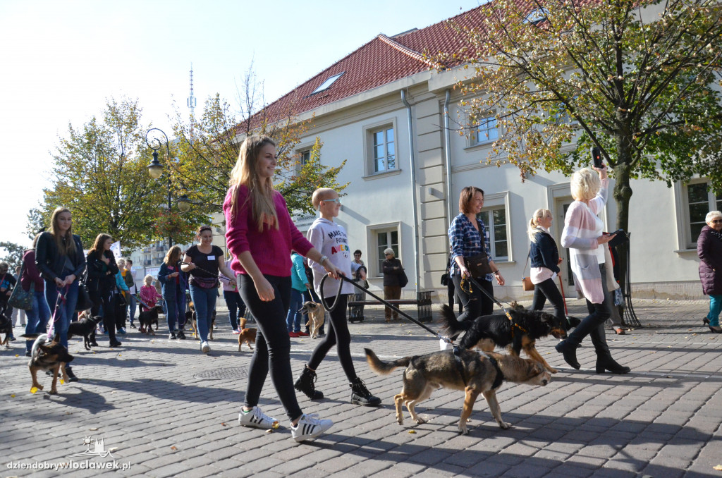 Światowy Dzień Zwierząt we Włocławku
