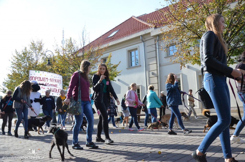 Światowy Dzień Zwierząt we Włocławku