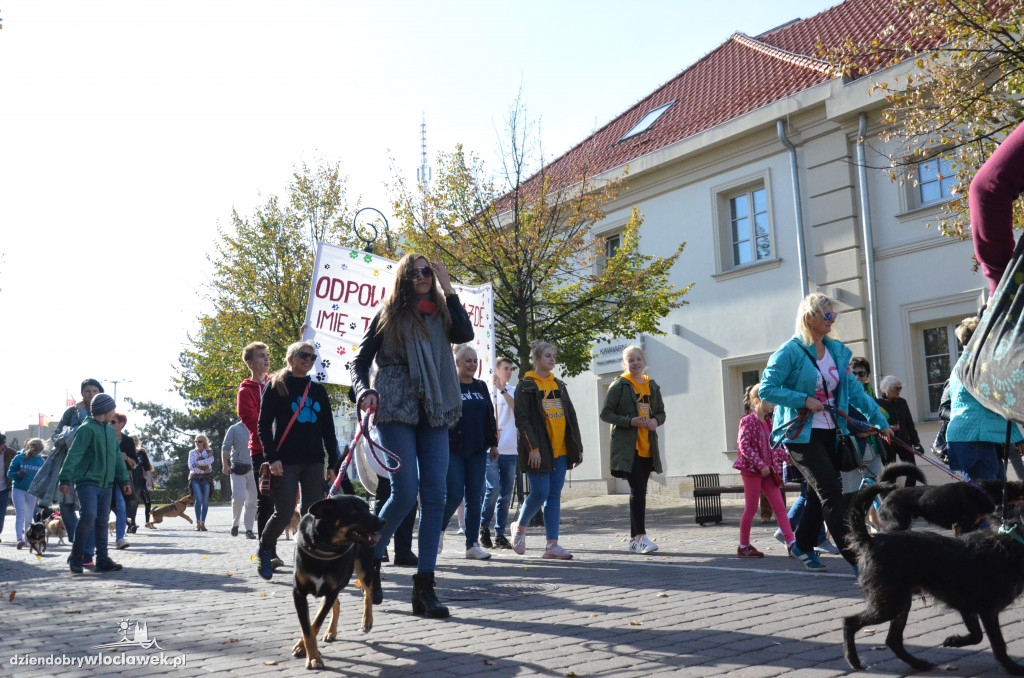 Światowy Dzień Zwierząt we Włocławku