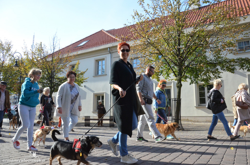 Światowy Dzień Zwierząt we Włocławku