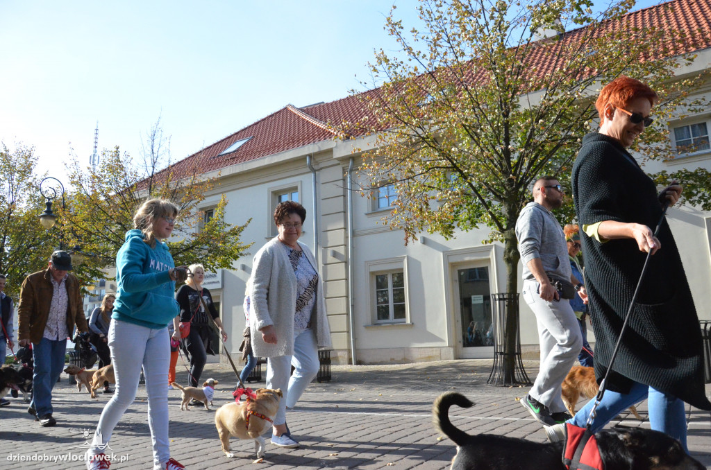 Światowy Dzień Zwierząt we Włocławku