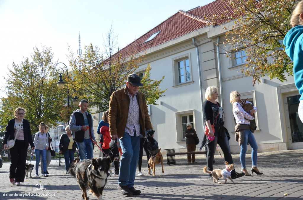 Światowy Dzień Zwierząt we Włocławku