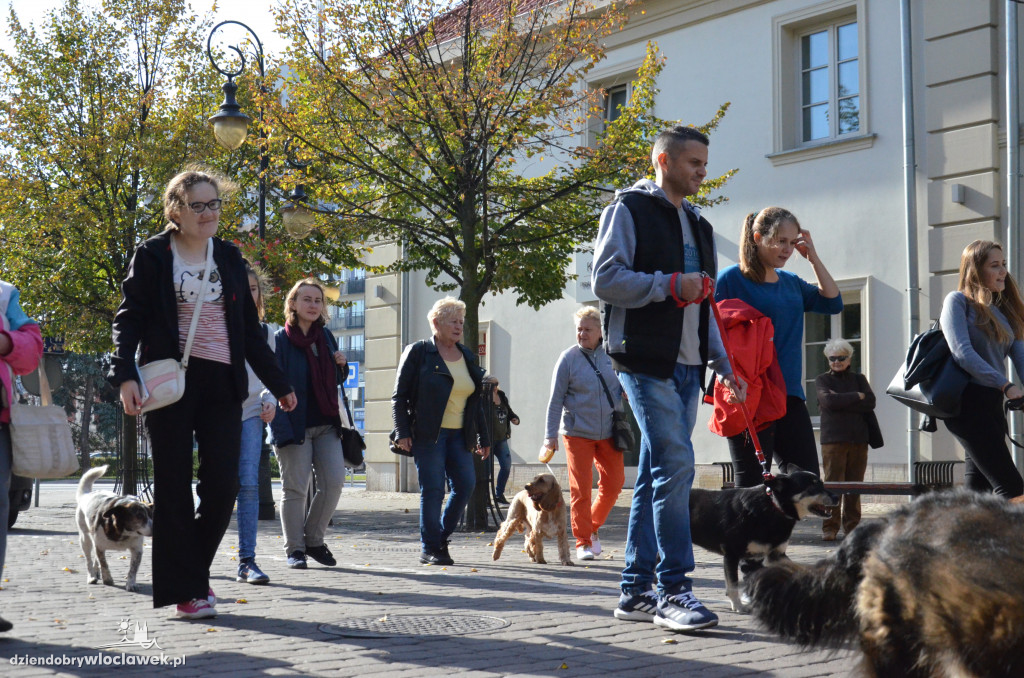 Światowy Dzień Zwierząt we Włocławku