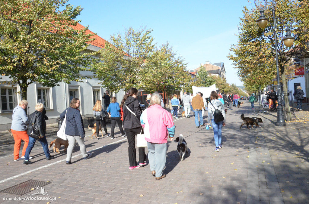 Światowy Dzień Zwierząt we Włocławku
