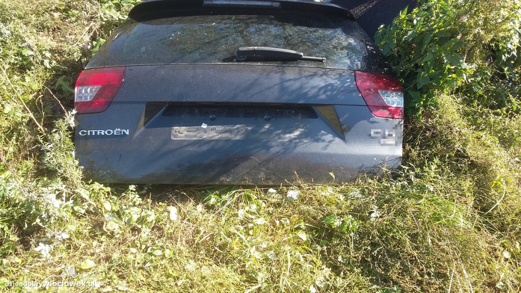 Policja w złodziejskiej dziupli