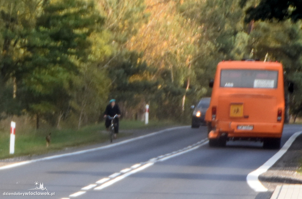 Opel uderzył w szkolny autobus