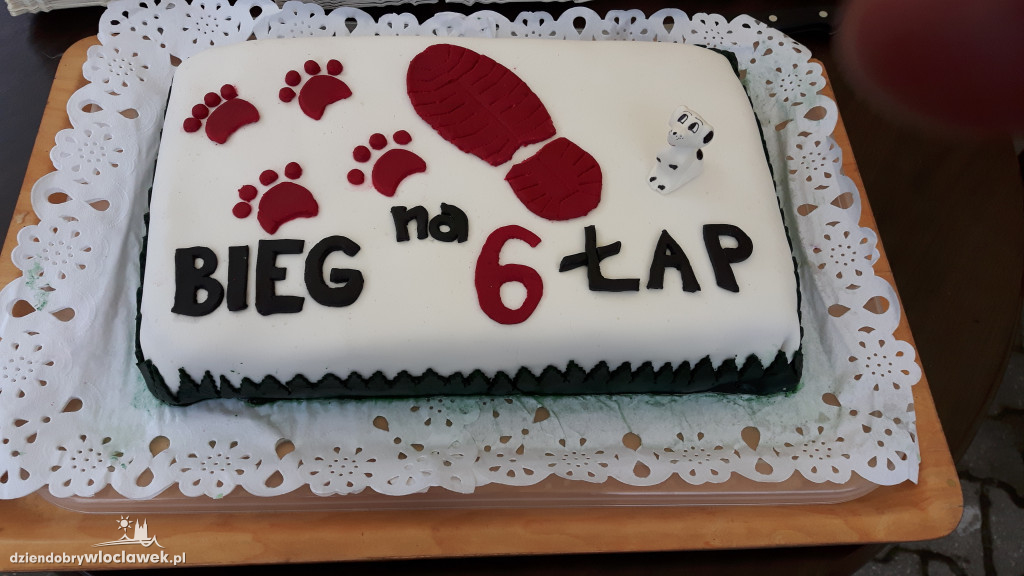 Jubileuszowy Bieg na 6 Łap w schronisku