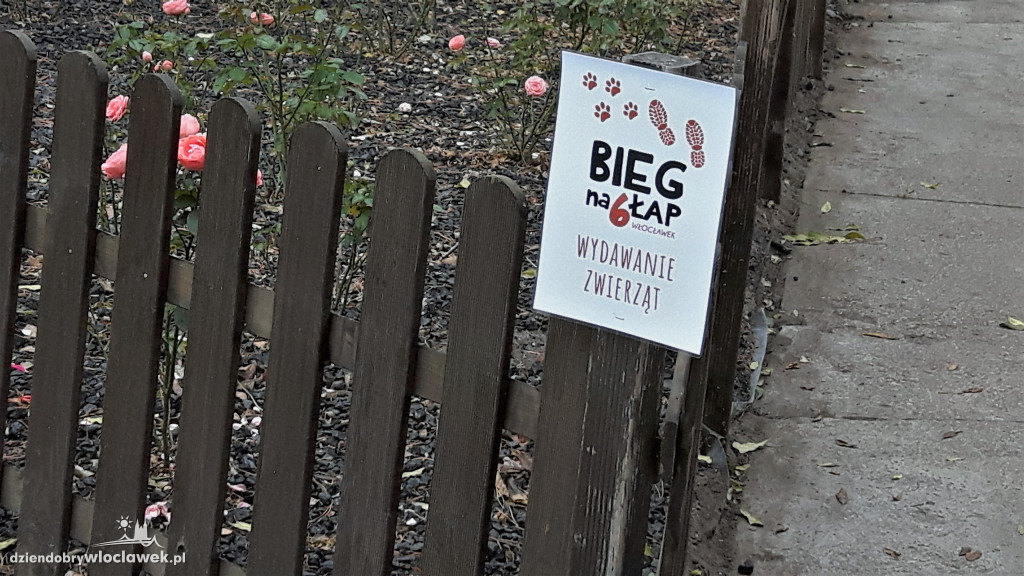 Jubileuszowy Bieg na 6 Łap w schronisku
