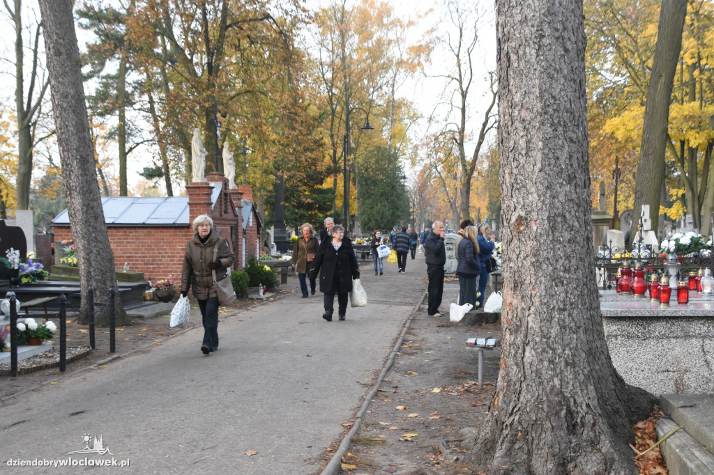 Tłumy na Cmentarzu Komunalnym