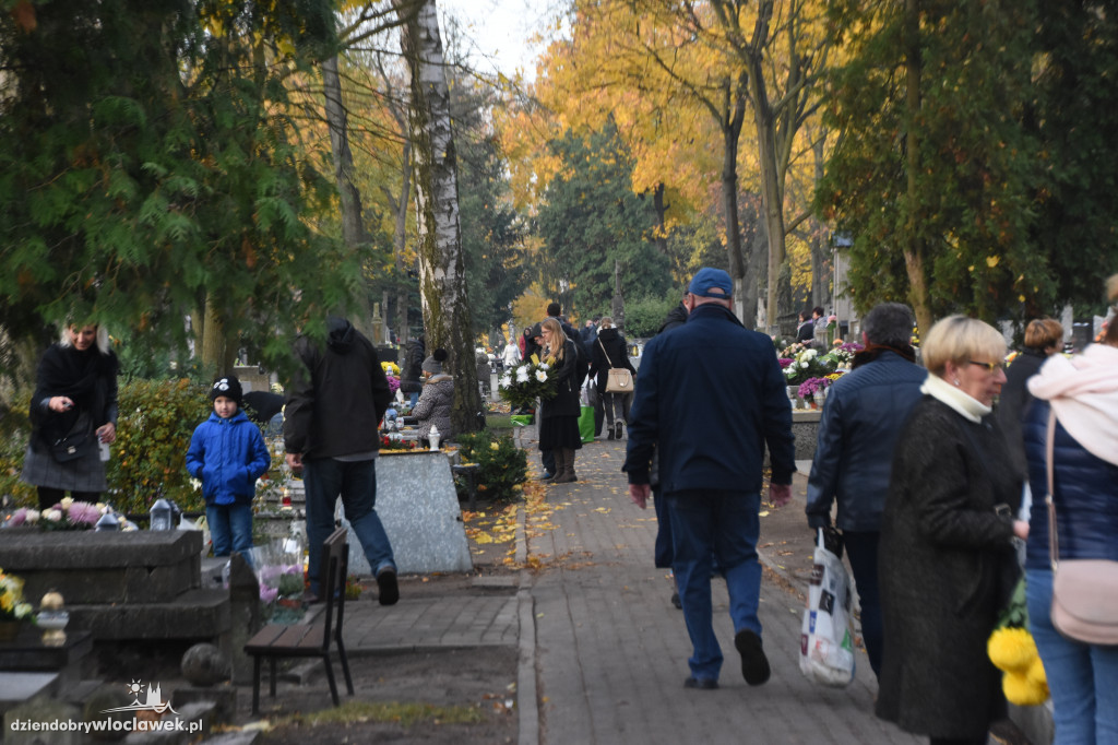Tłumy na Cmentarzu Komunalnym