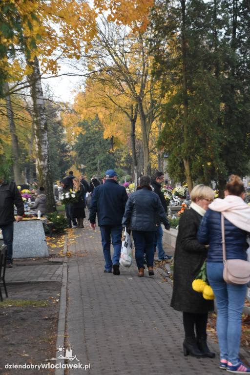 Tłumy na Cmentarzu Komunalnym