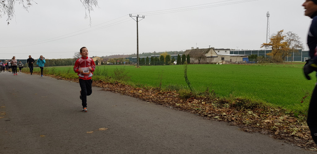 Bieg Niepodległych w Brzeziu