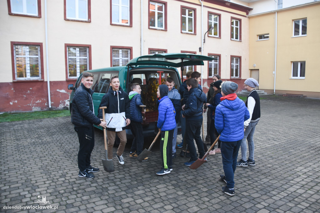 Posadzili drzewa wokół SP 19