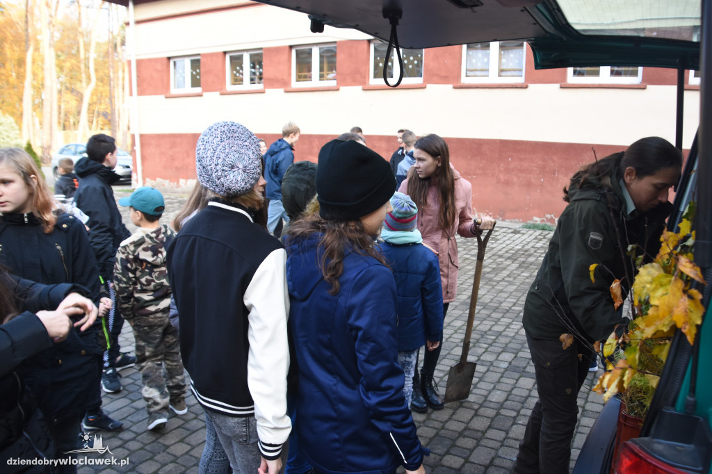 Posadzili drzewa wokół SP 19