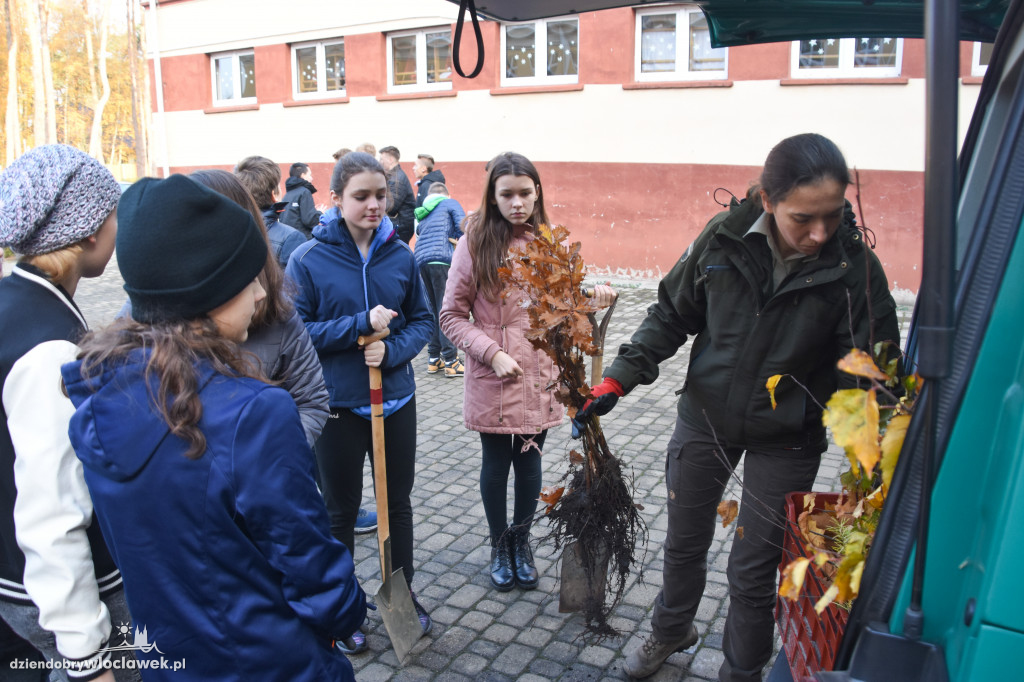 Posadzili drzewa wokół SP 19