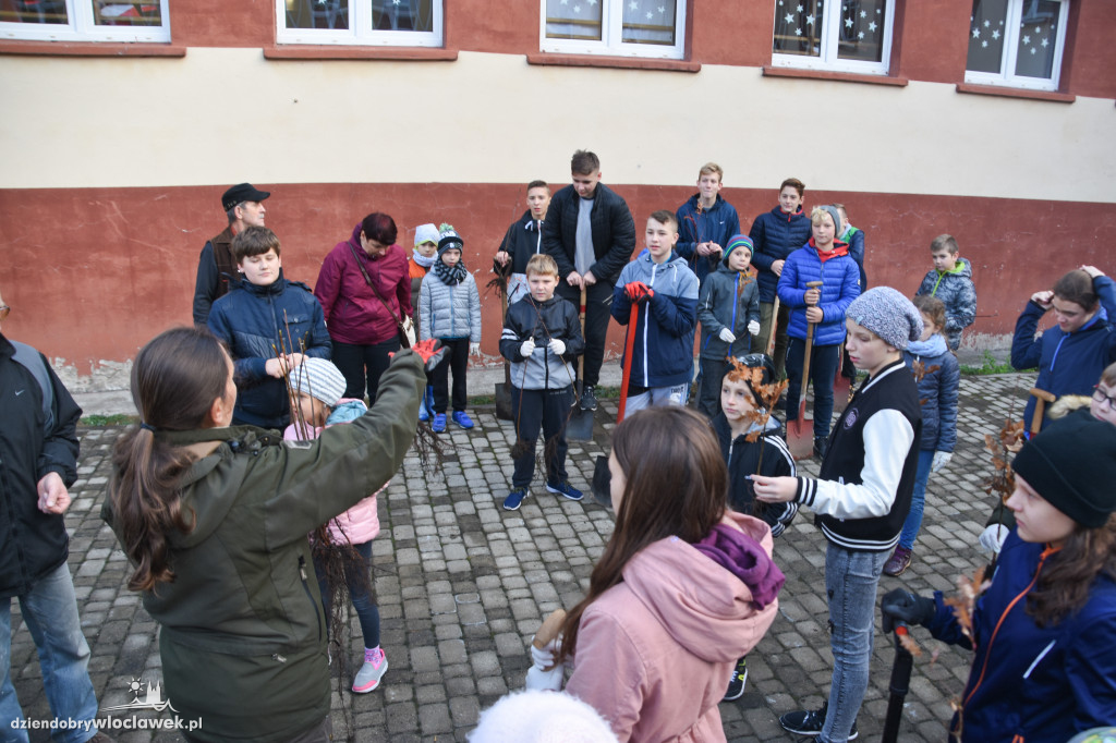 Posadzili drzewa wokół SP 19