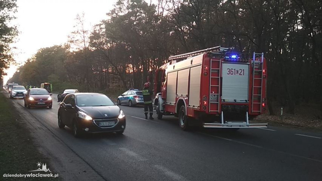  Korek z Michelina sięga Kaliskiej