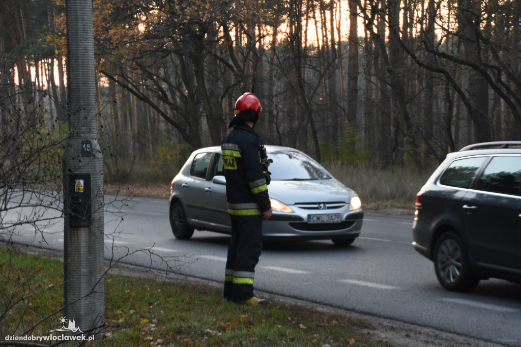  Korek z Michelina sięga Kaliskiej