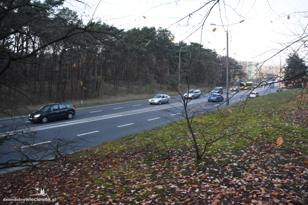  Korek z Michelina sięga Kaliskiej