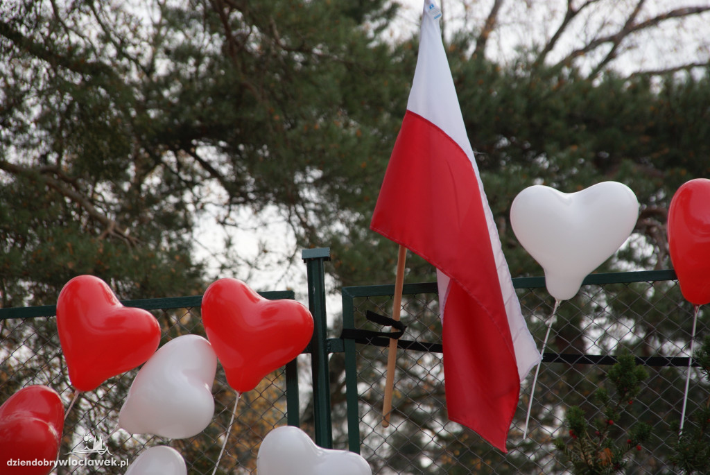 Dąb niepodległości na Zawiślu