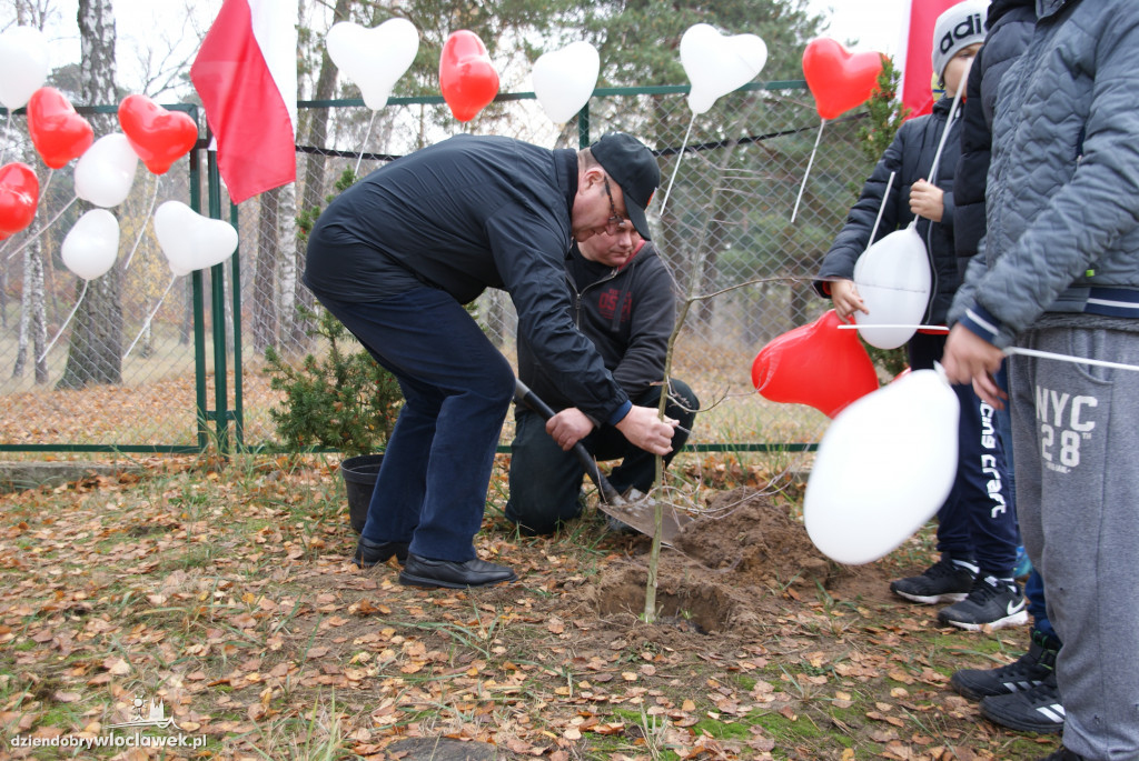 Dąb niepodległości na Zawiślu
