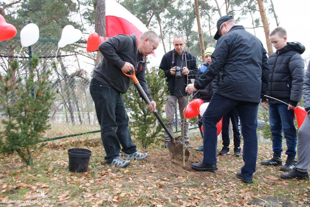 Dąb niepodległości na Zawiślu