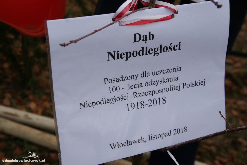 Dąb niepodległości na Zawiślu
