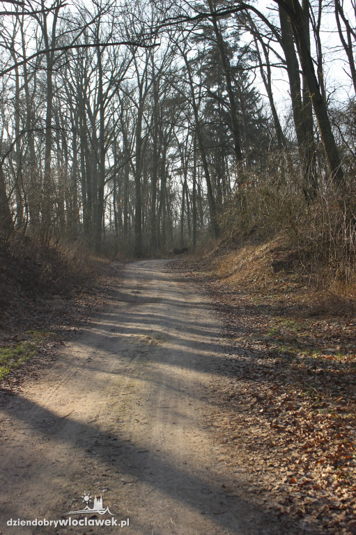 Odkrycie włocławskich archeologów