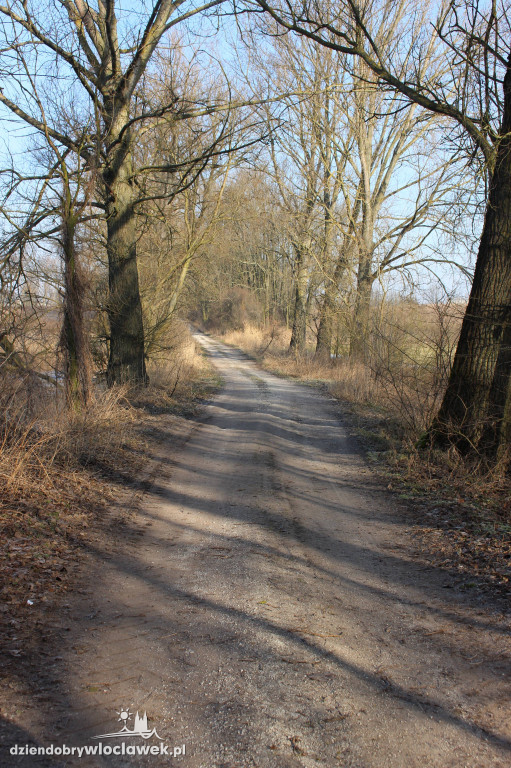 Odkrycie włocławskich archeologów