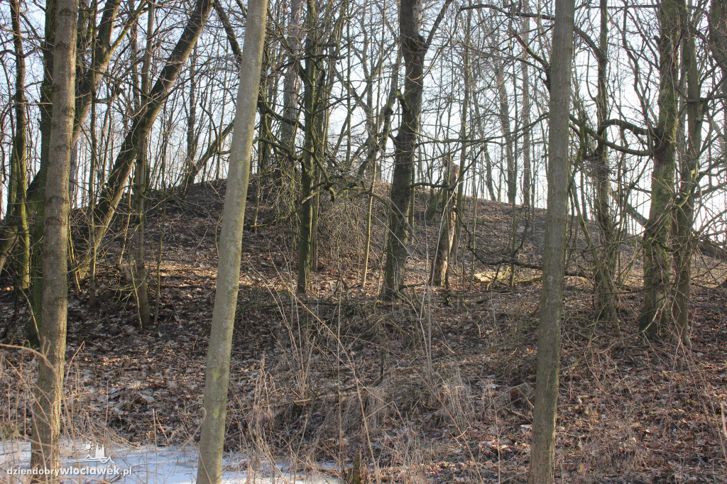 Odkrycie włocławskich archeologów