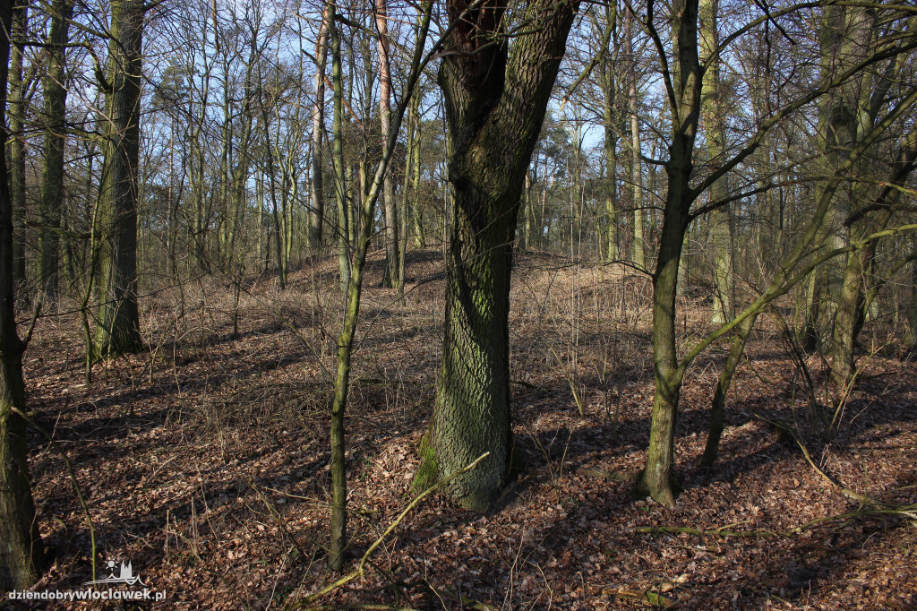 Odkrycie włocławskich archeologów