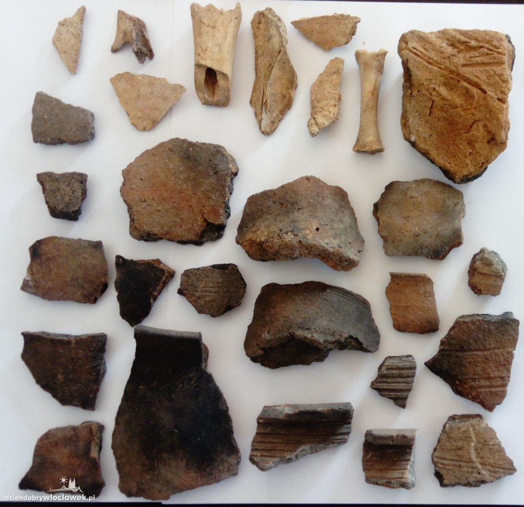 Odkrycie włocławskich archeologów